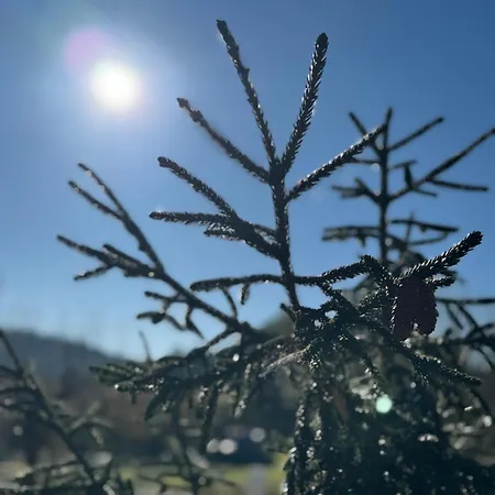 Espacio De Paz En La Naturaleza Campano (Galicia)