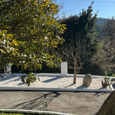 Espacio De Paz En La Naturaleza