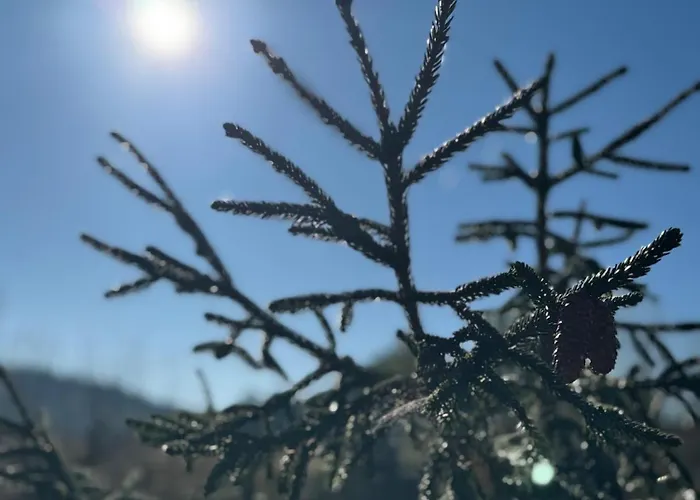 Espacio De Paz En La Naturaleza Campano (Galicia)